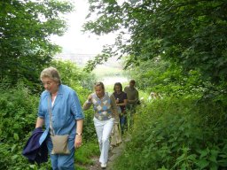 2008 | Geraardsbergen